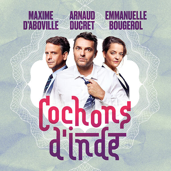 COCHONS D'INDE